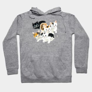 5 cute kitties Hoodie